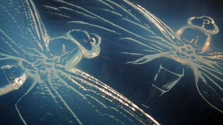 rene-lalique-glass-dragonfly