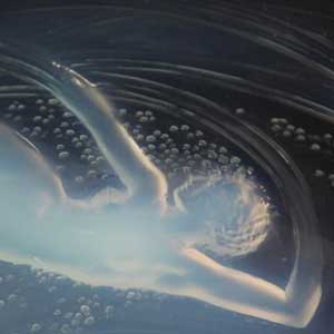 Rene Lalique Glass For Sale