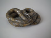 Majolica Palissy coiled snake figure