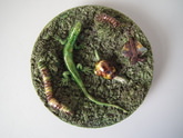 D'Avellar Majolica Palissy lizard & snail plate
