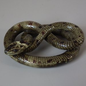 Palissy Majolica Coiled Snake Figure